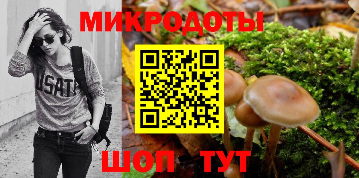 Черняховск  Галлюциногенные грибы Cubensis  Вход с VPN 